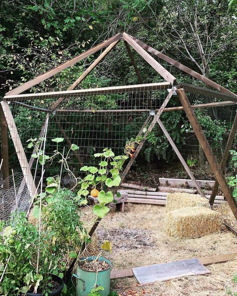 Chicken Wire Greenhouse