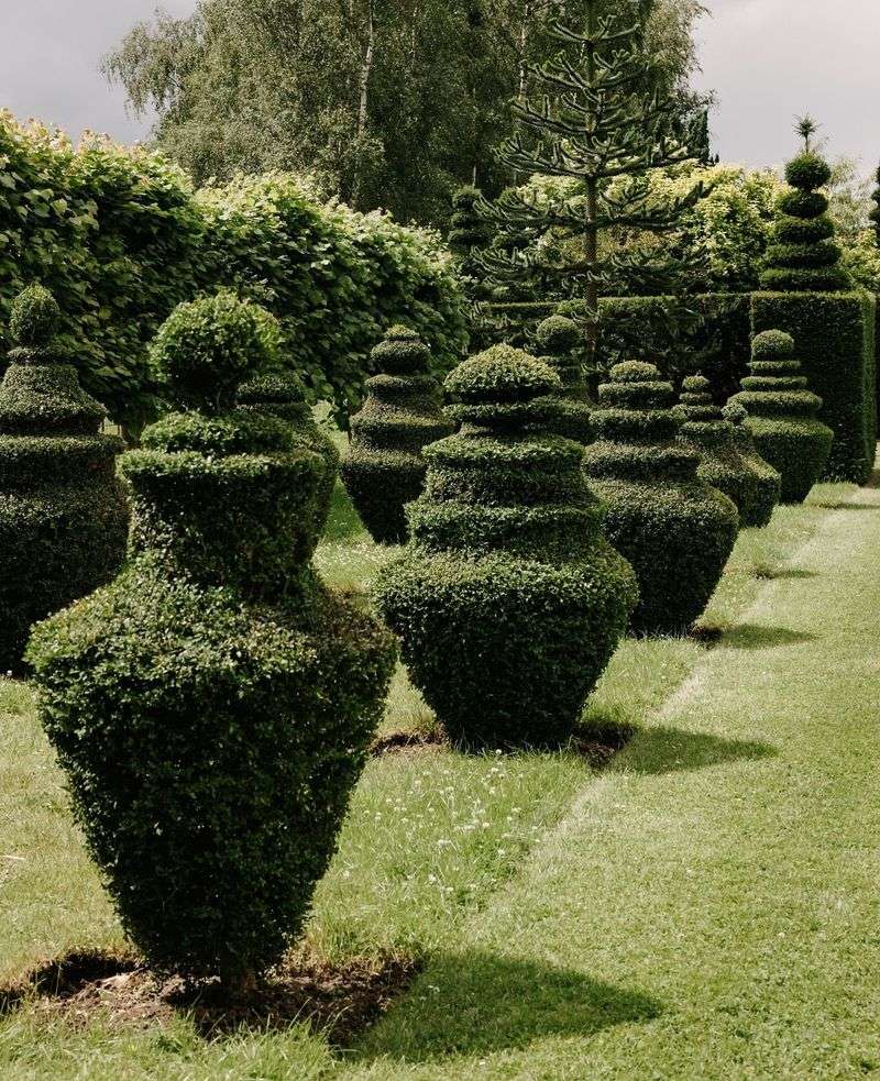 Classic Topiary Shapes