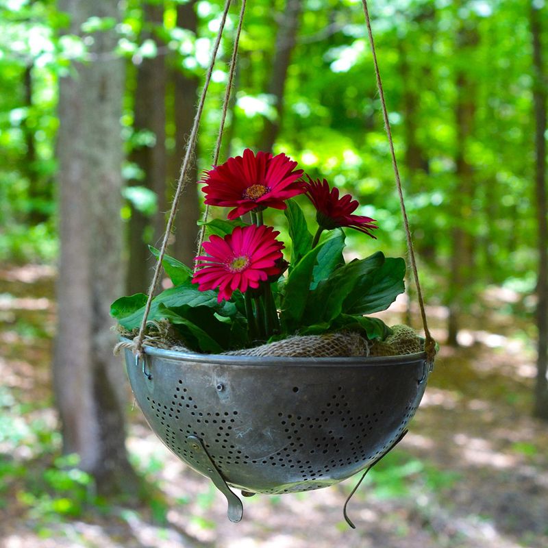 Colander Hanging Planter