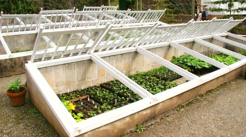 Cold Frame Gardening