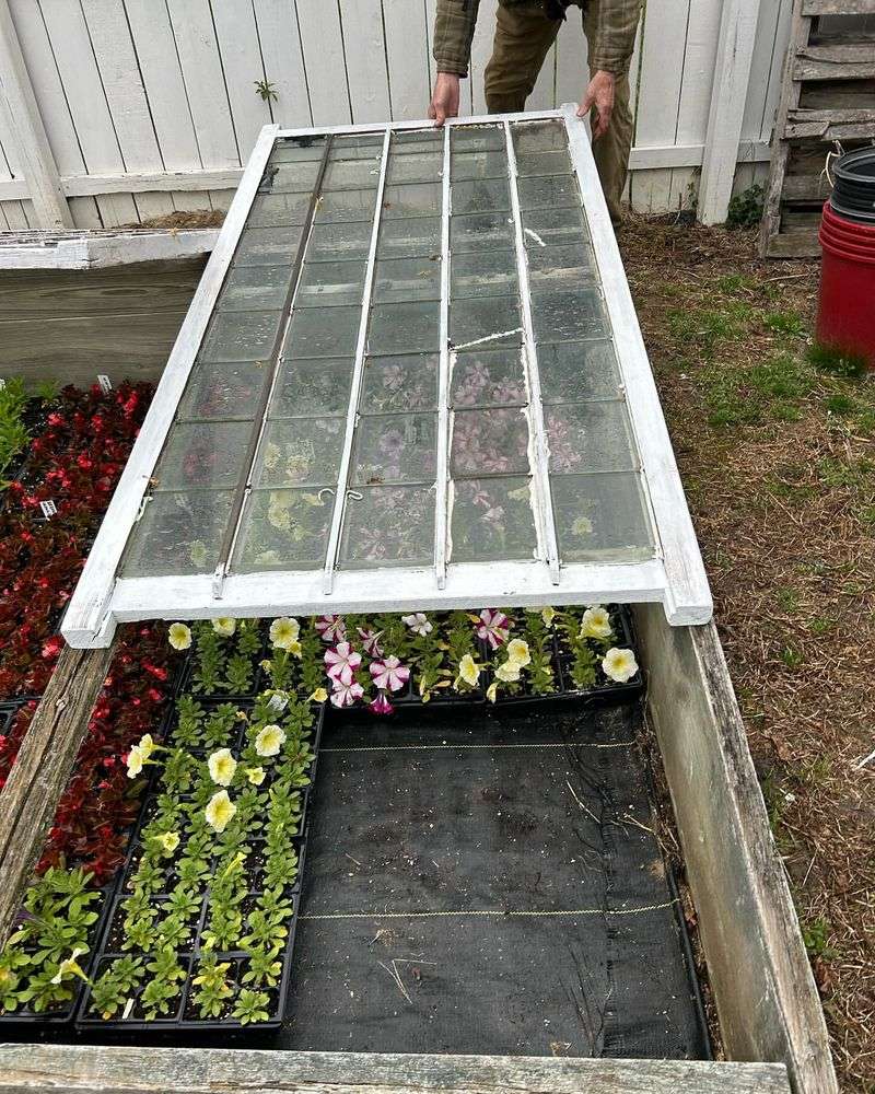 Cold Frames