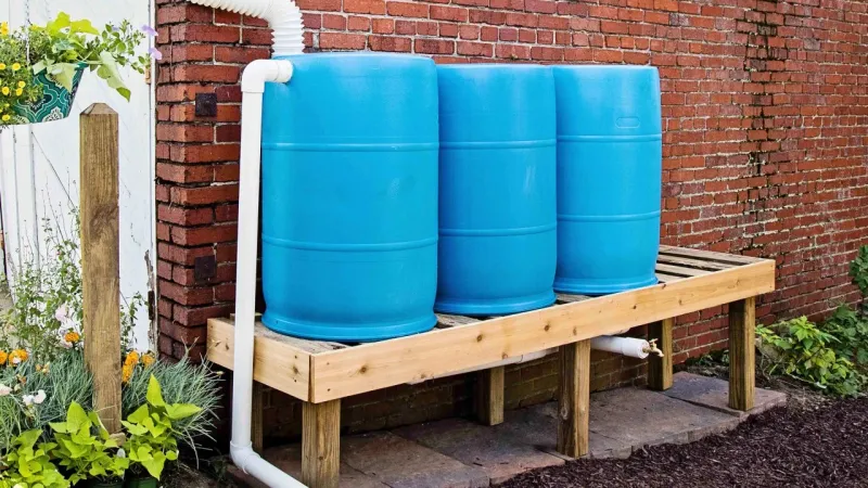 Collect Rainwater