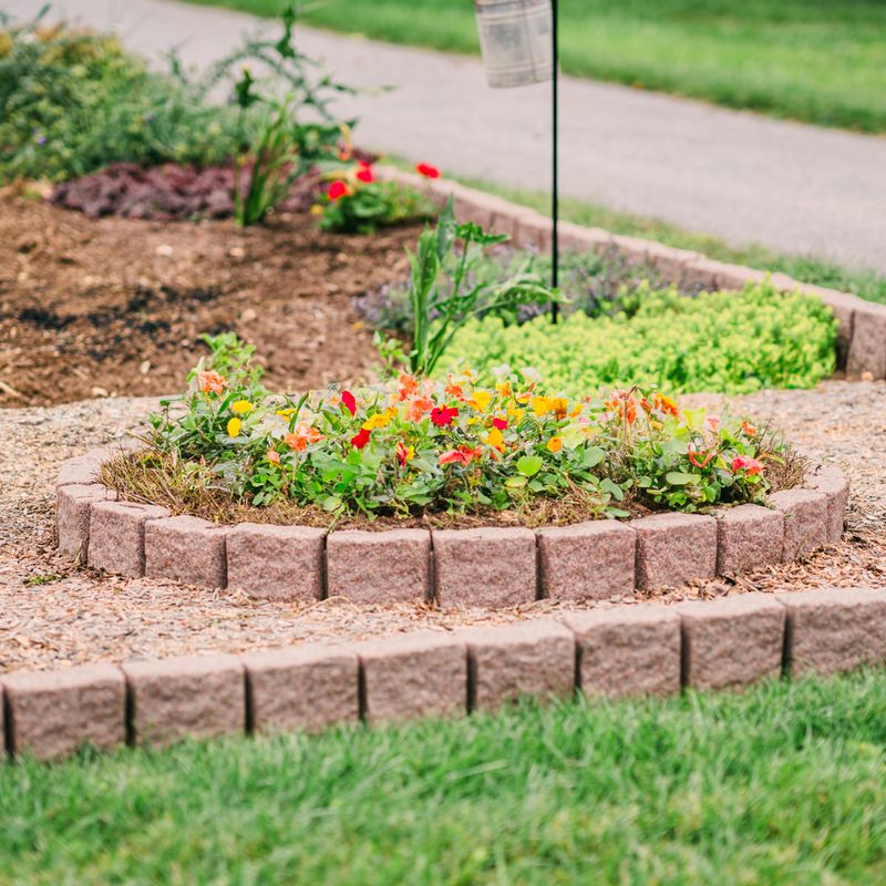 Color Block Planting