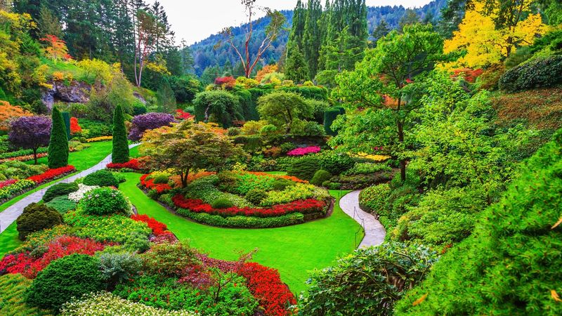 Color Explosion Flower Beds