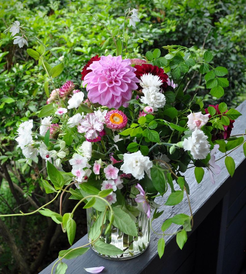 Colorful Carnations