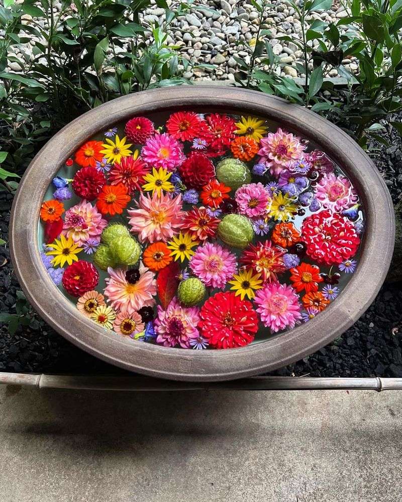 Colorful Container Flowers