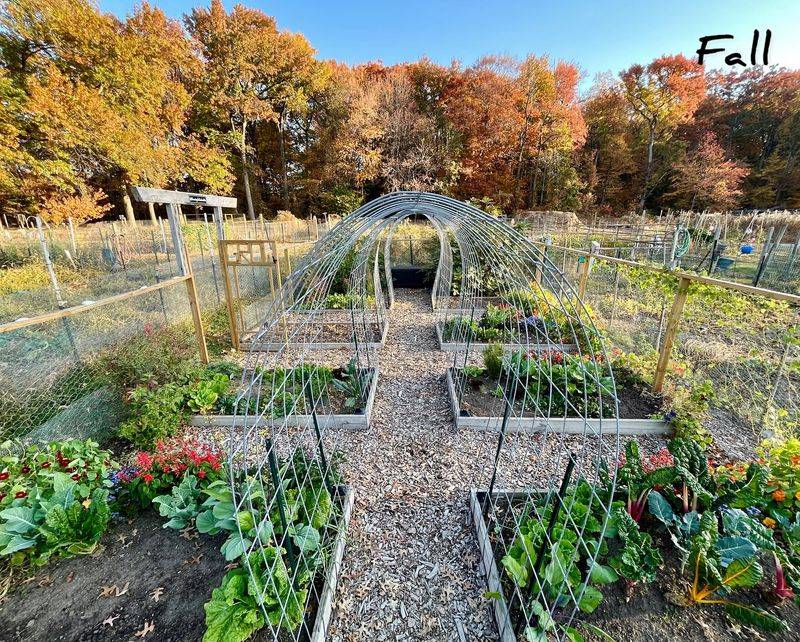 Community Garden Space