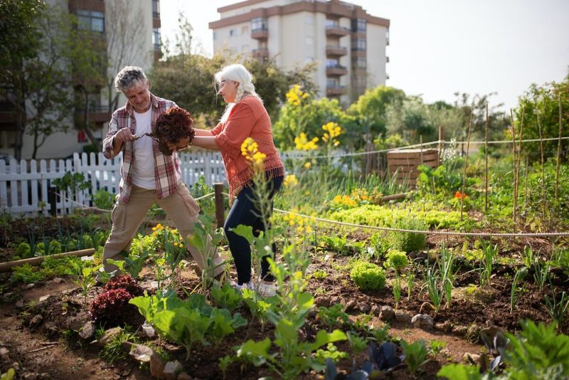 Community Gardening