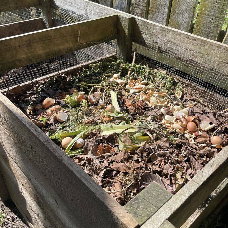 Compost Piles