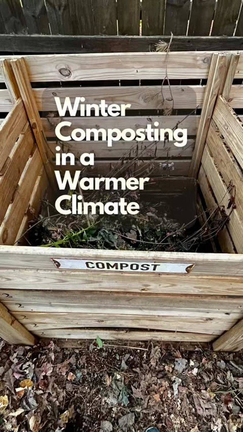 Compost in Winter