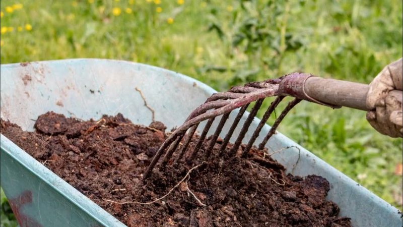 Composting Magic