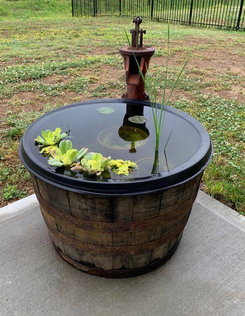 Container Water Garden