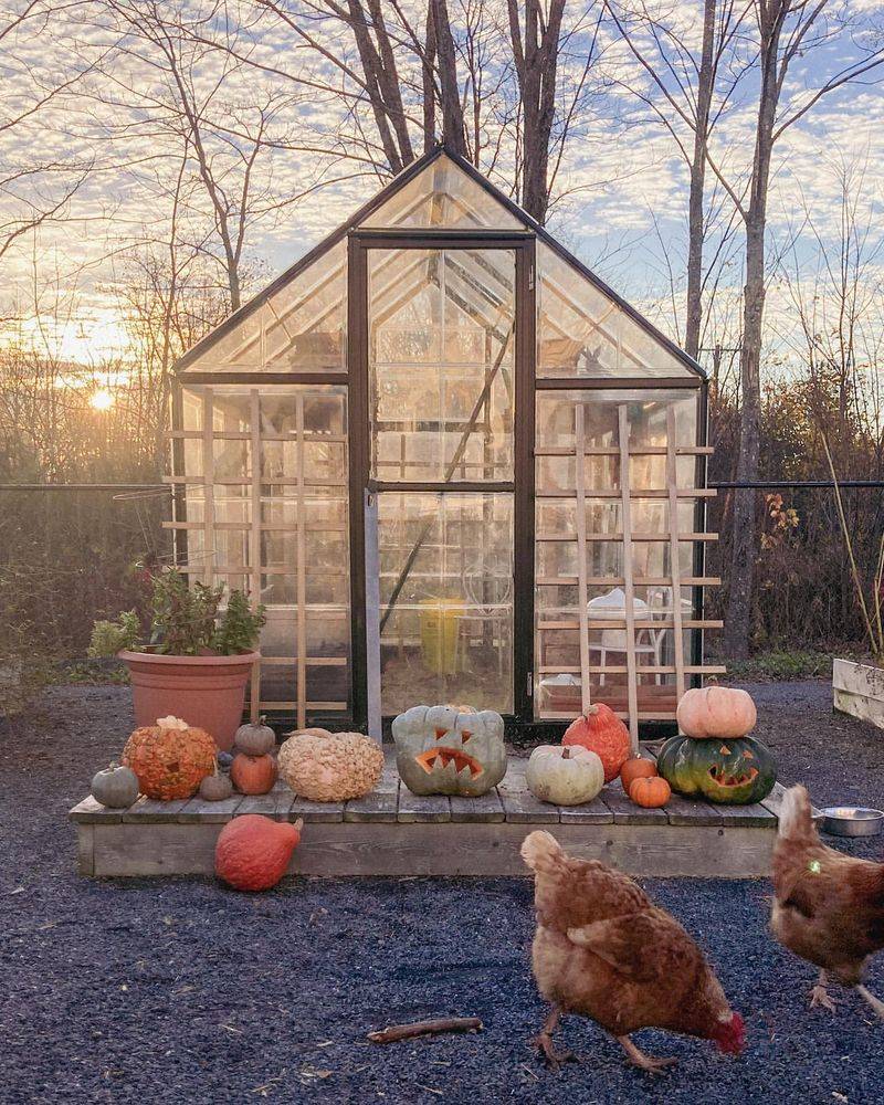 Cornstalk Greenhouse