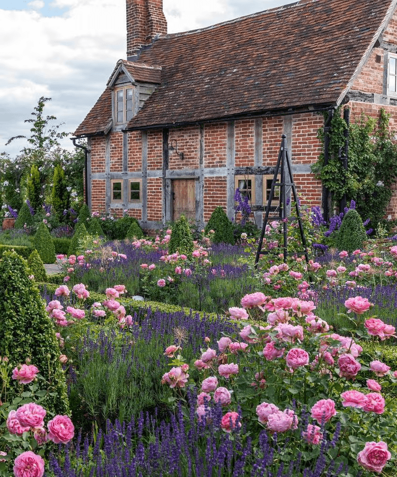 Cottage Garden Charm