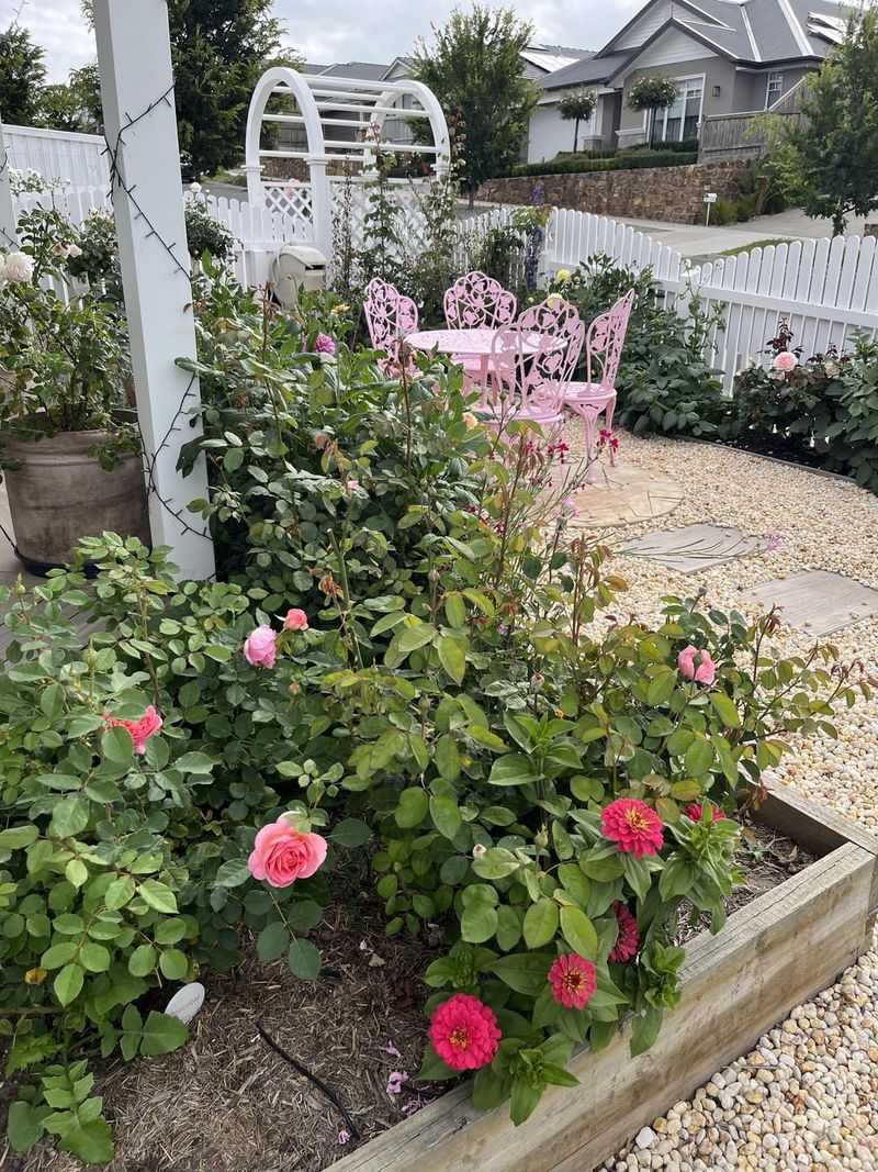 Cottage Garden with Roses