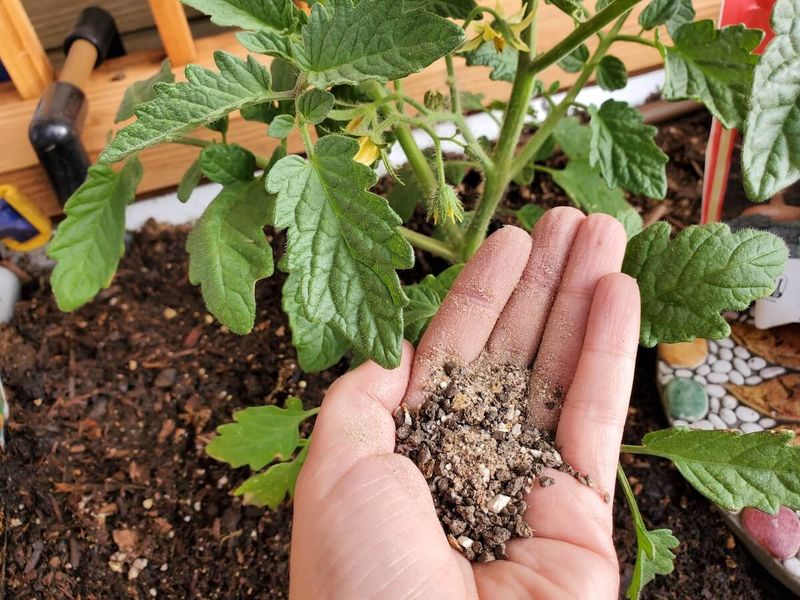 Cottonseed Meal