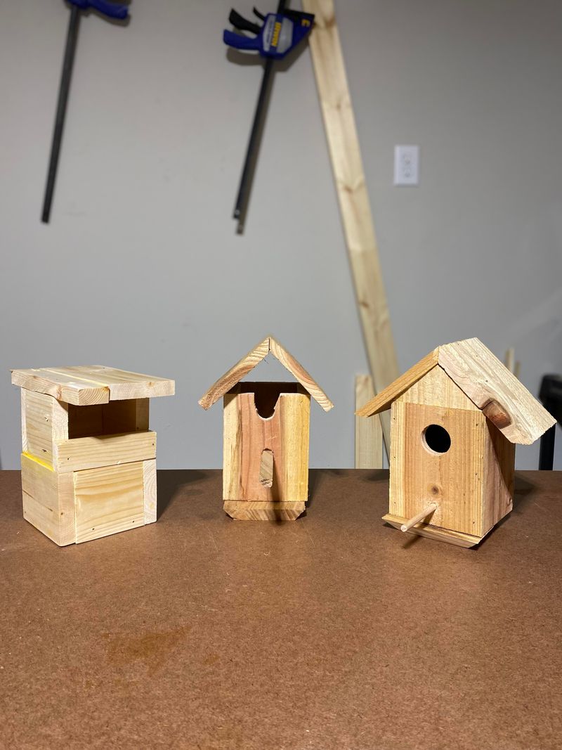 Create DIY Birdhouses