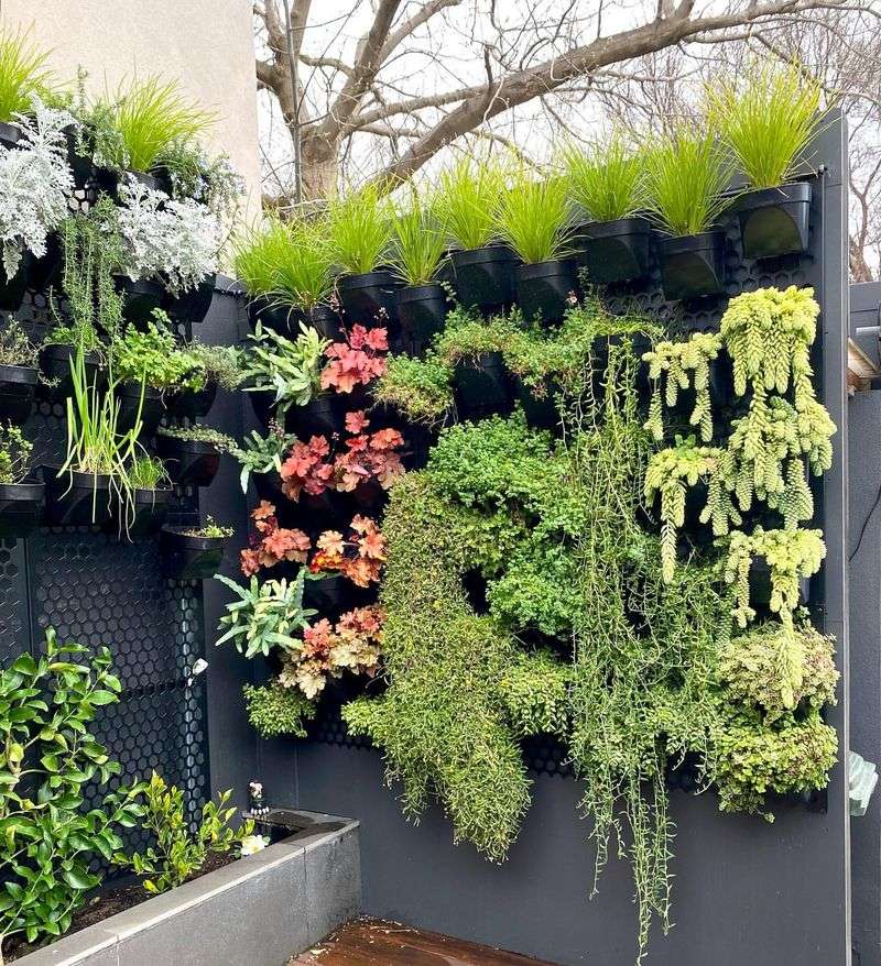 Create a Vertical Garden