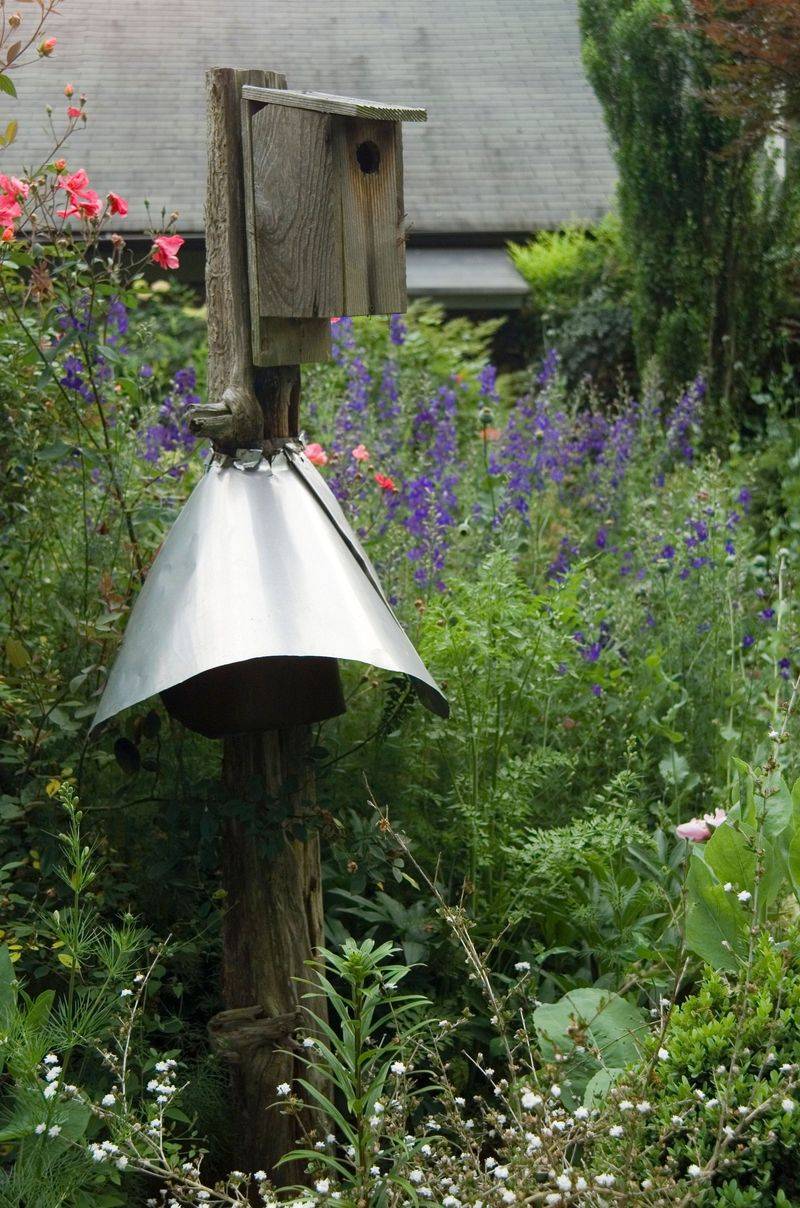 Create a Wildlife-Friendly Garden