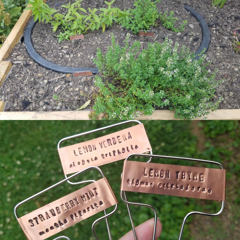 Creative Plant Labels