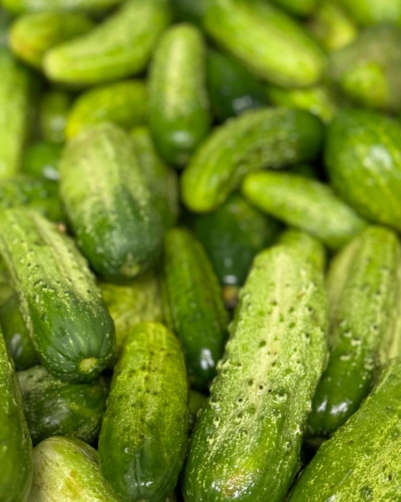 Cucumbers