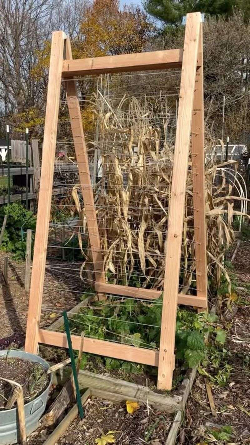 DIY Garden Trellis