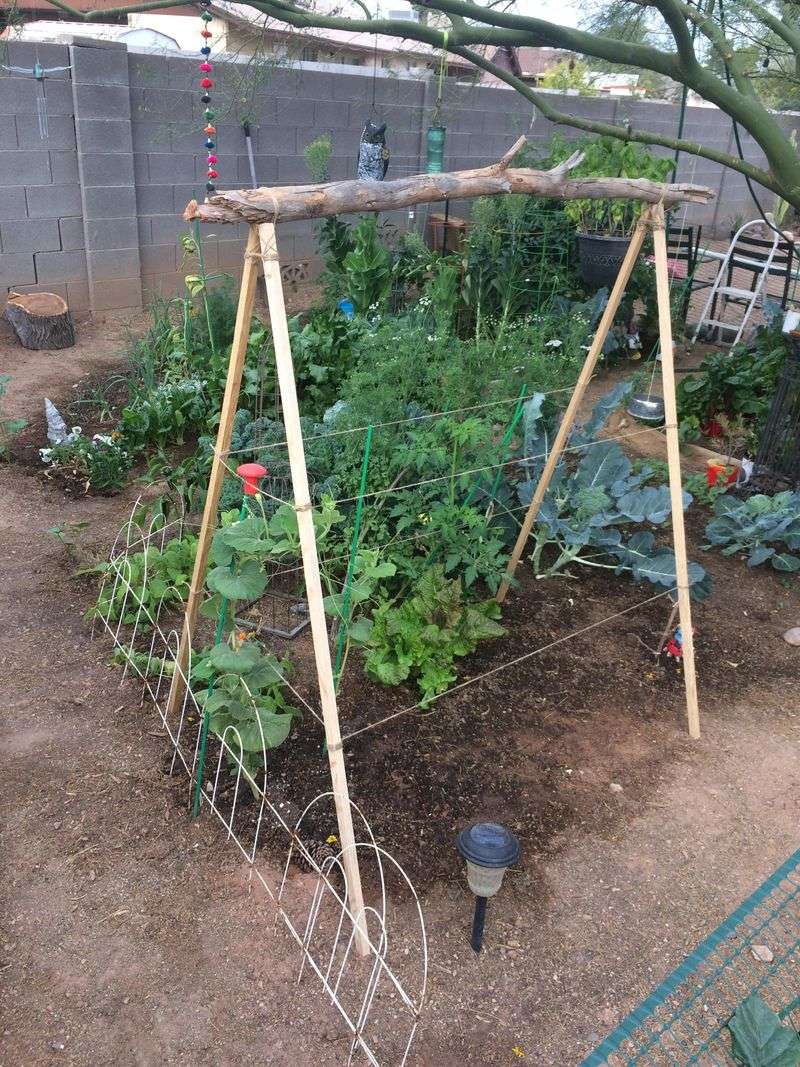 DIY Garden Trellis