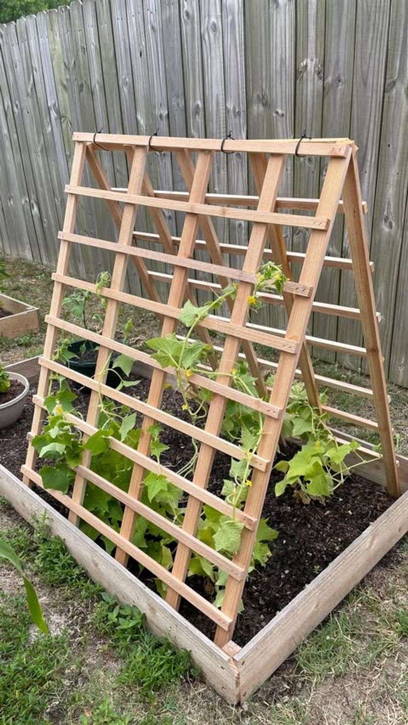 DIY Garden Trellis