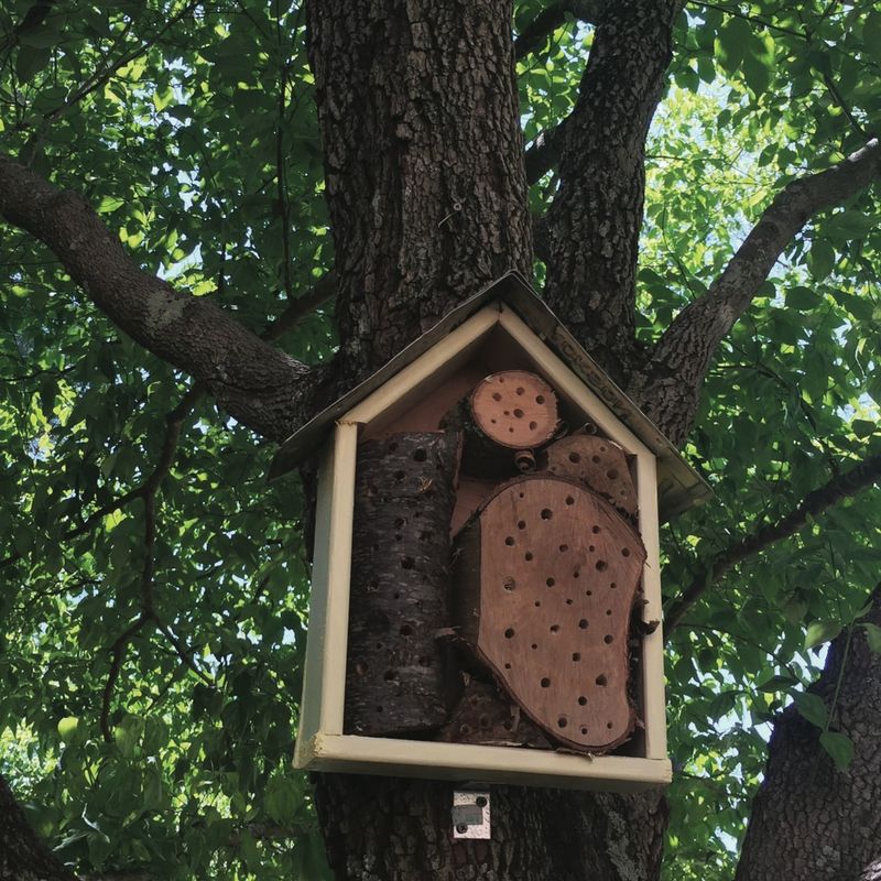 DIY Pollinator Hotel