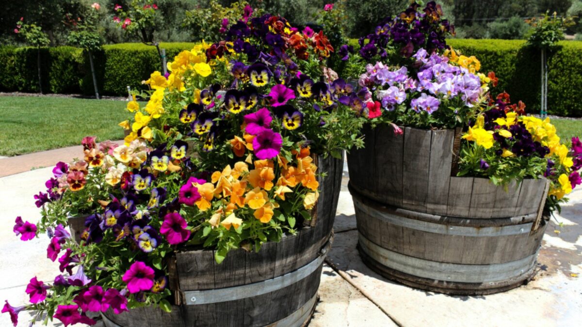 DIY Raised Garden Bed Alternatives – 22 Items To Repurpose For A ...