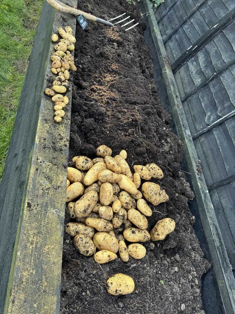 Deep Mulch Method