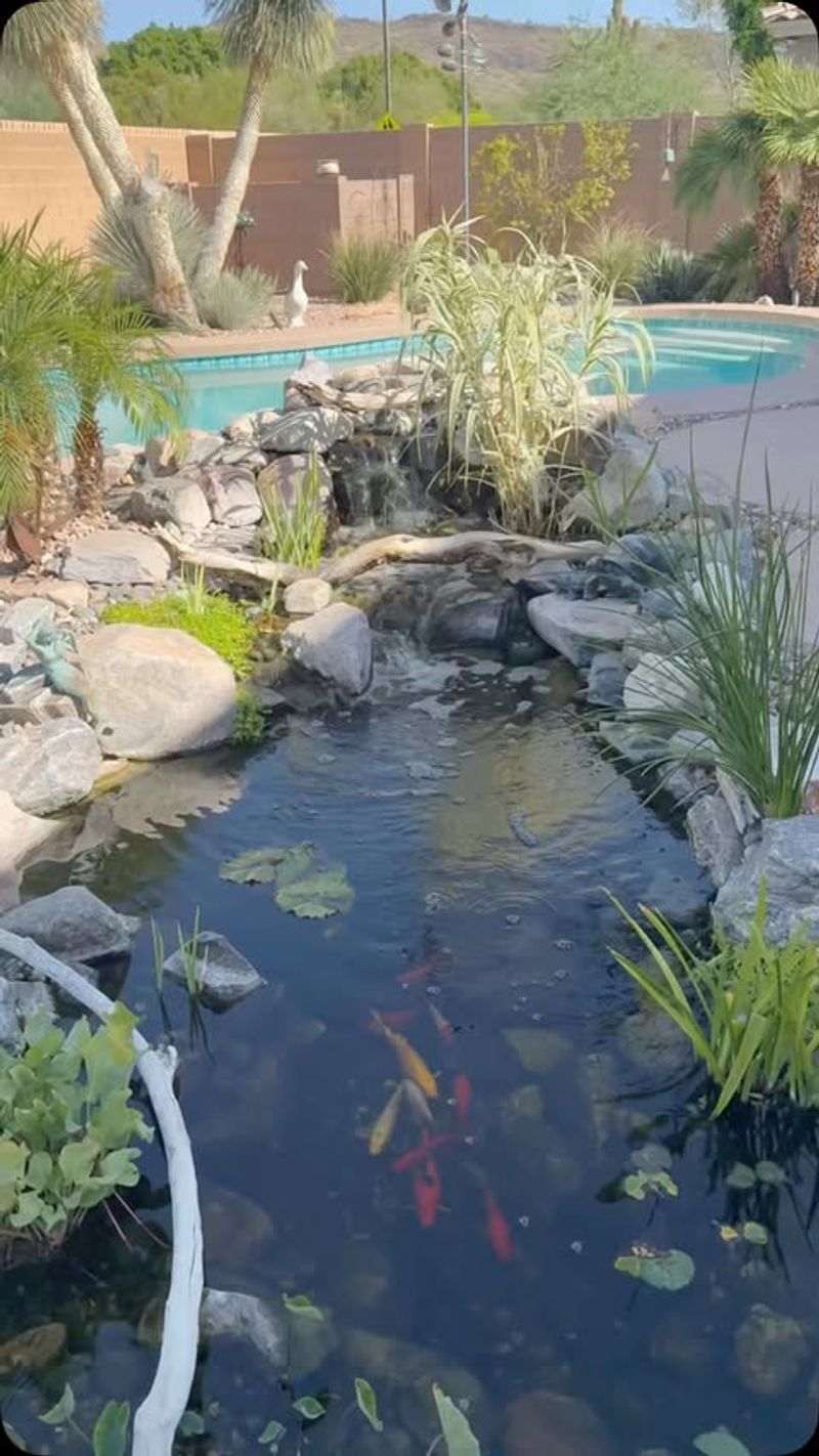 Desert Oasis Waterfall