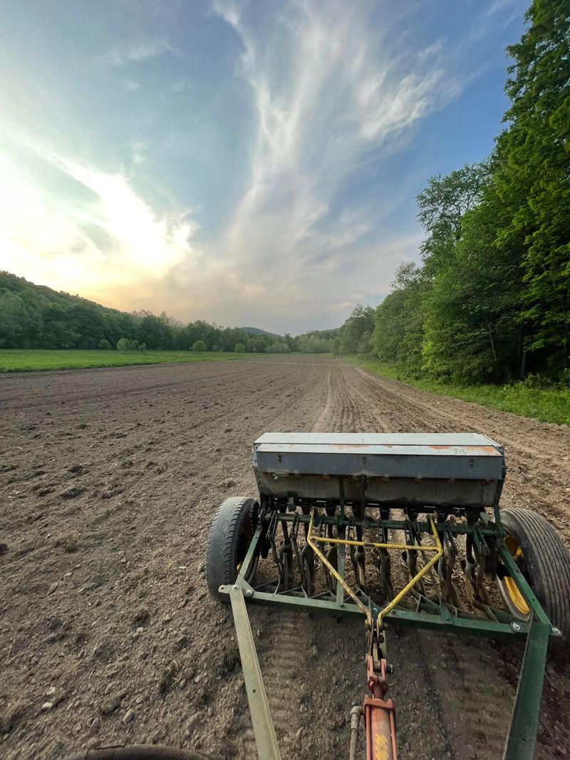 Drill Seeding