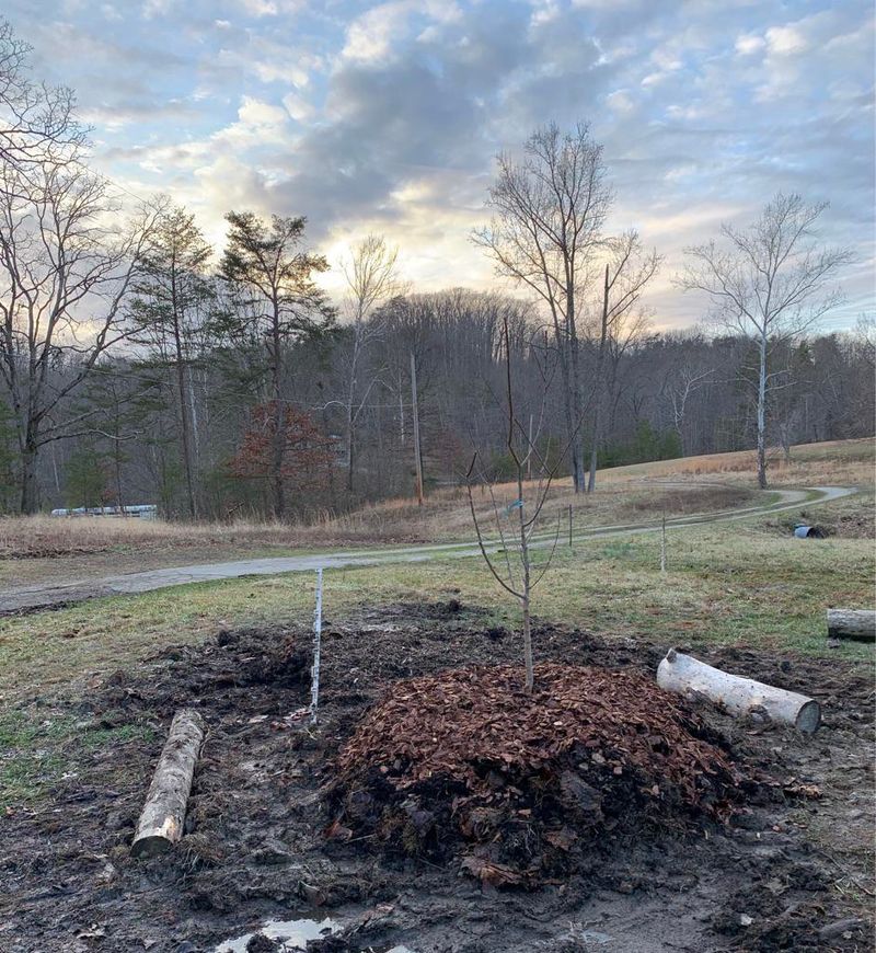 Earthen Mounds Planting