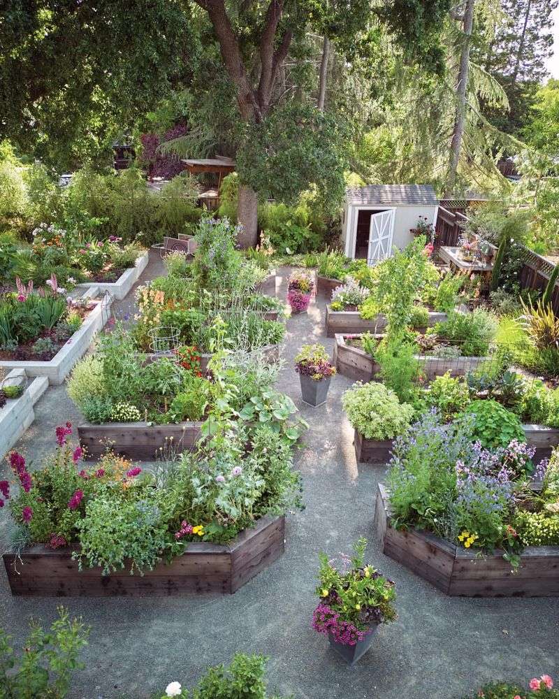 Edible Flower Bed