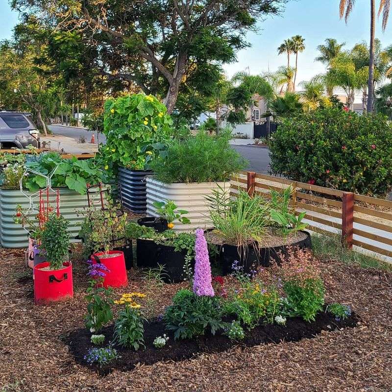 Edible Flower Border