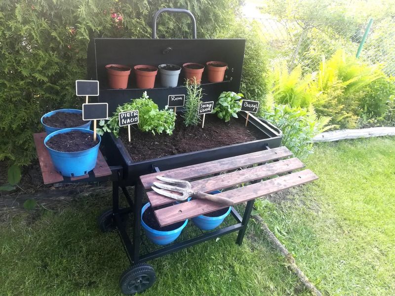 Edible Herb Garden