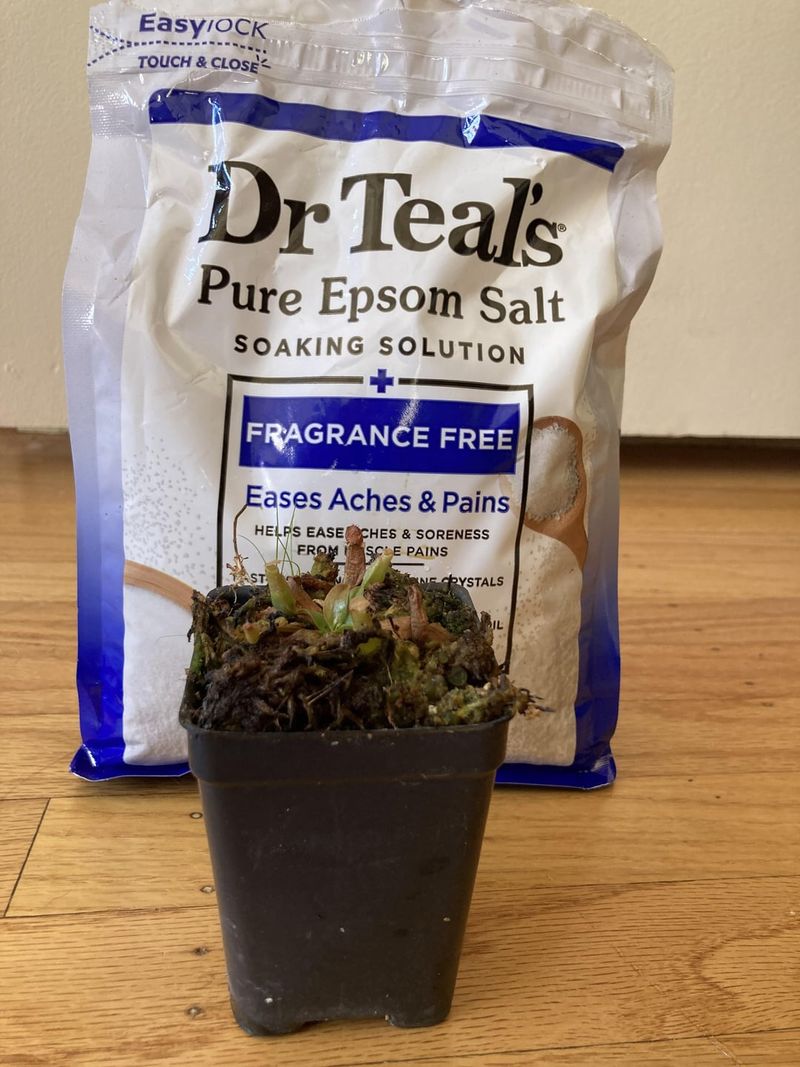 Epsom Salt Elixir