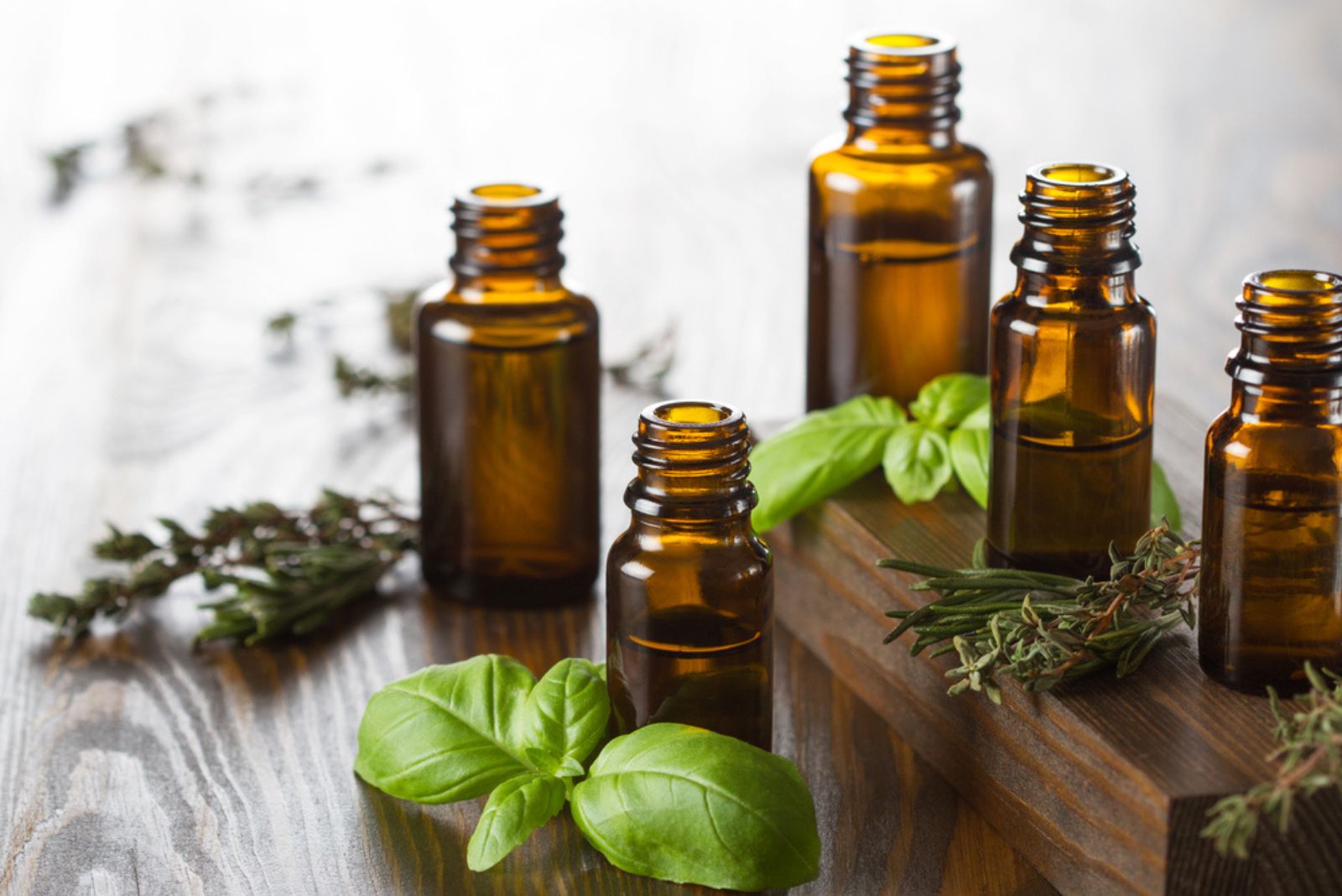 Essentials oils for aromatherapy