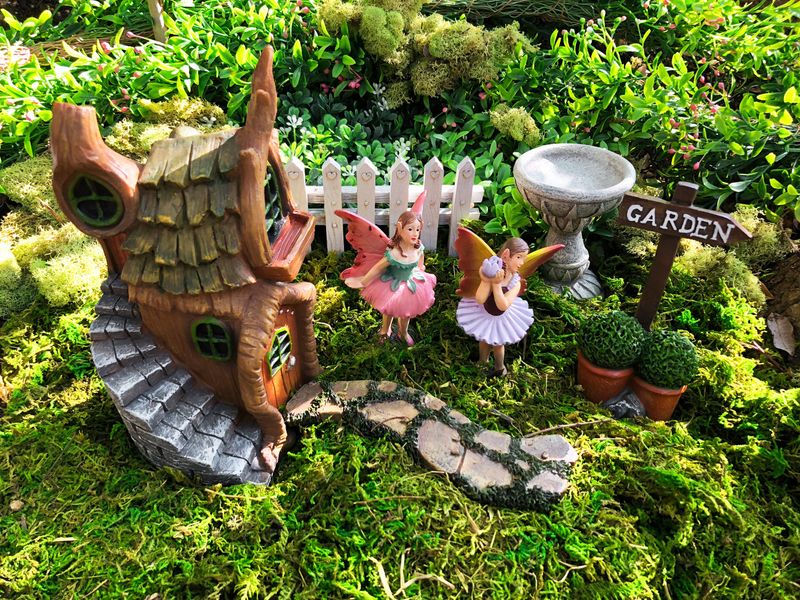 Fairy Garden