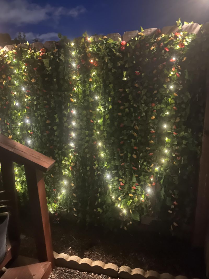 Fairy Light Trellis