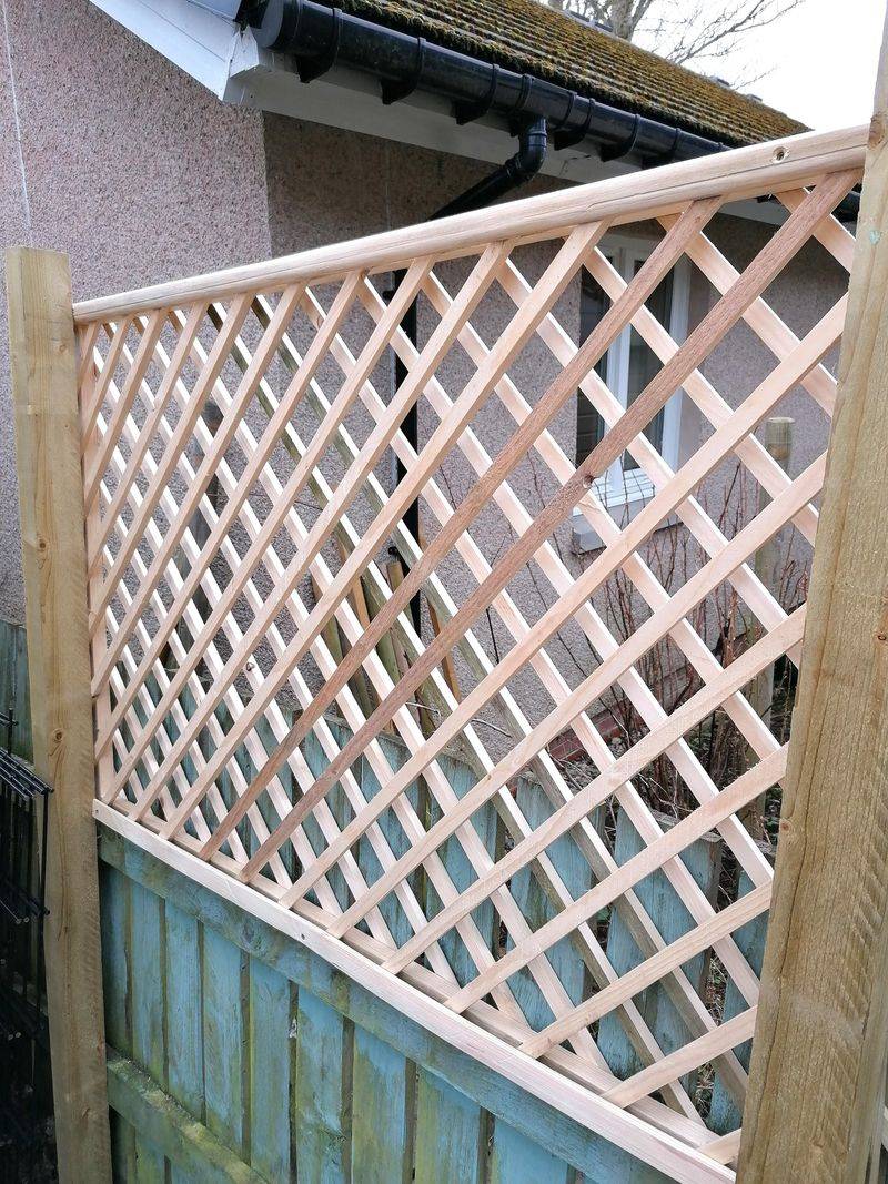 Fence Panel Trellis