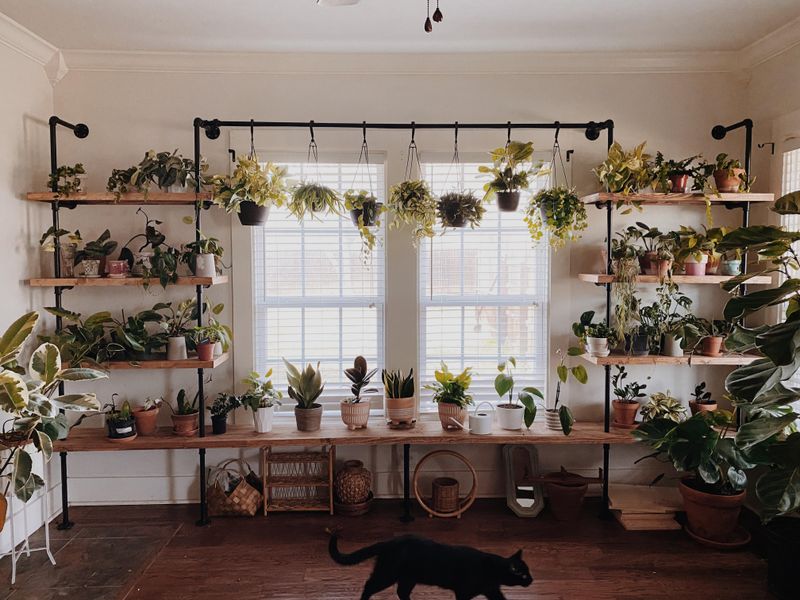 Floating Shelf Plant Stand