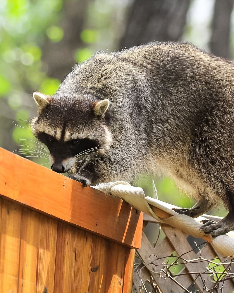 Fostering Community with Nature