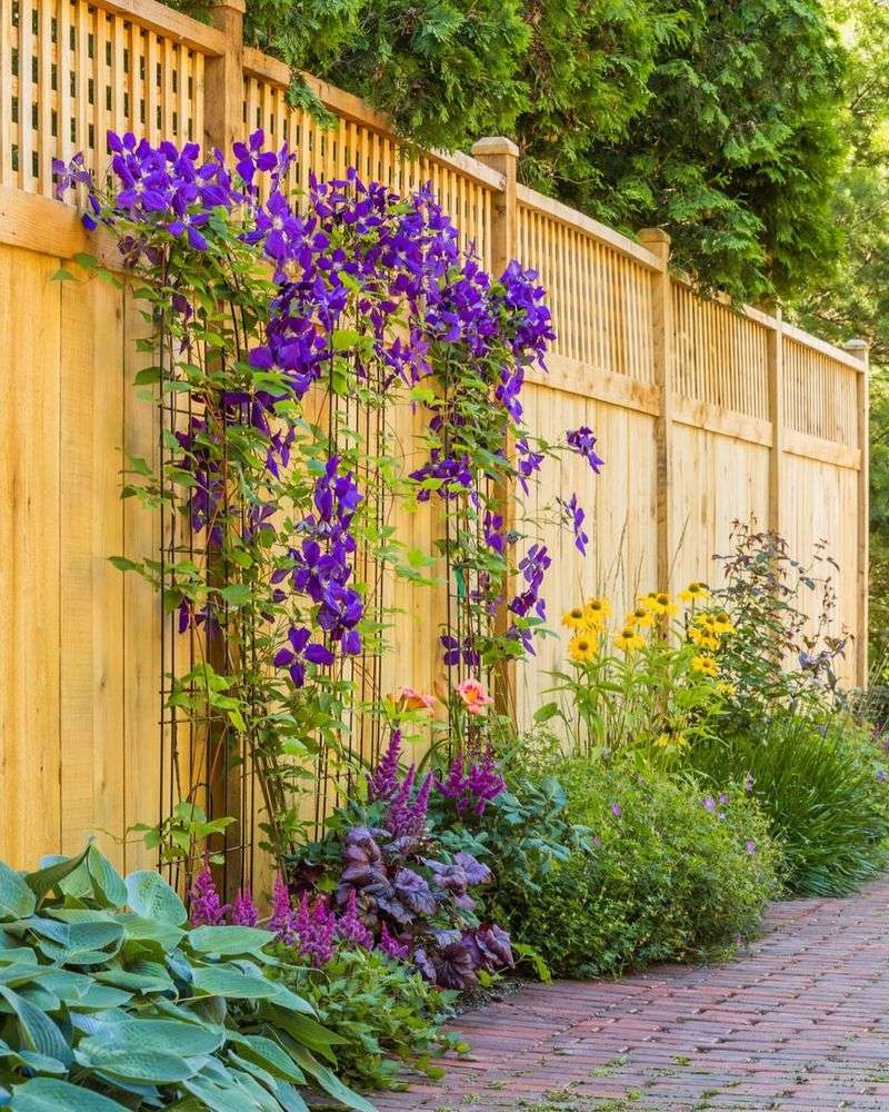 Garden Fence Trellis