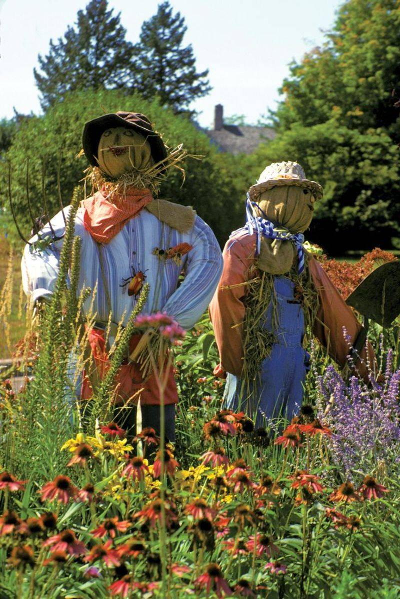 Garden Scarecrow