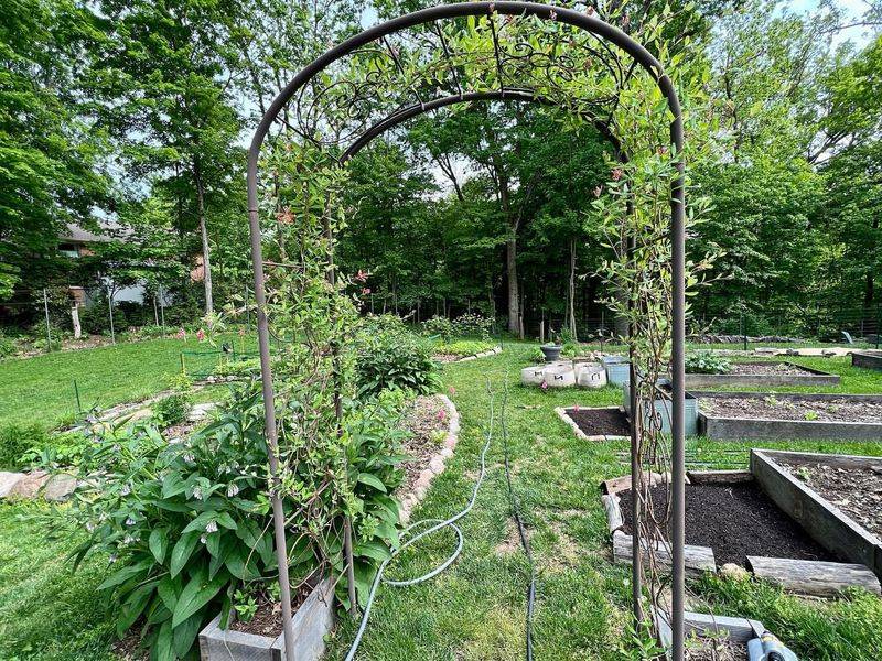 Garden Trellises