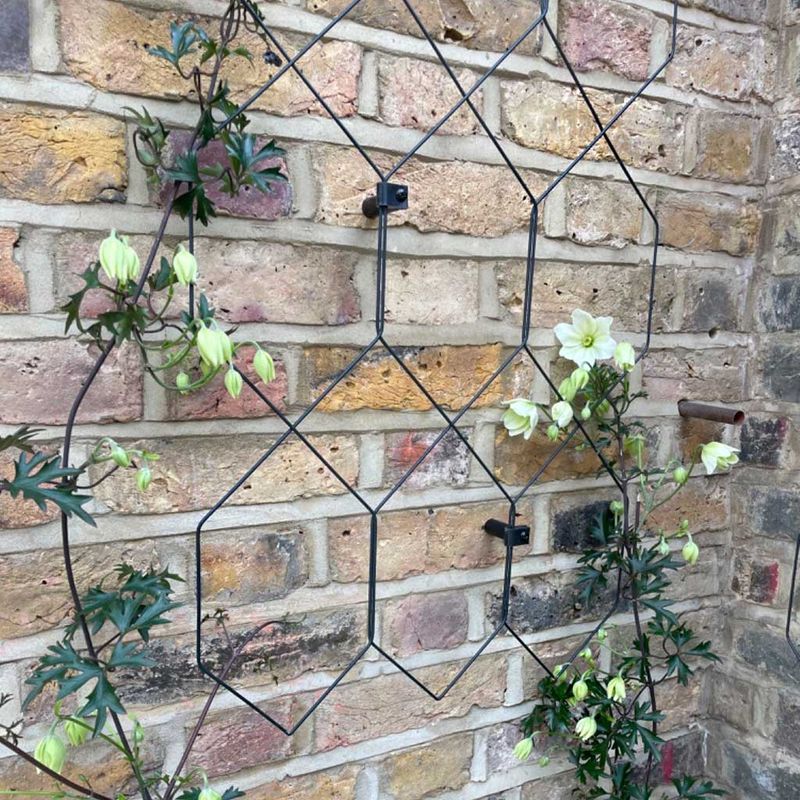 Geometric Wire Trellis