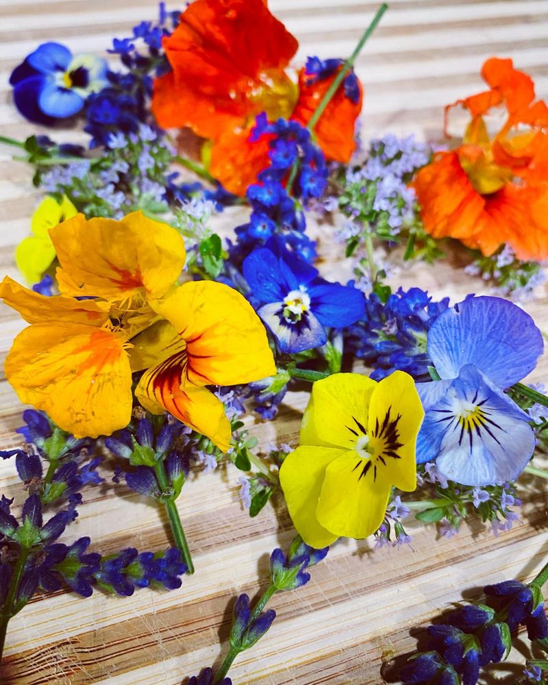 Grow Edible Flowers