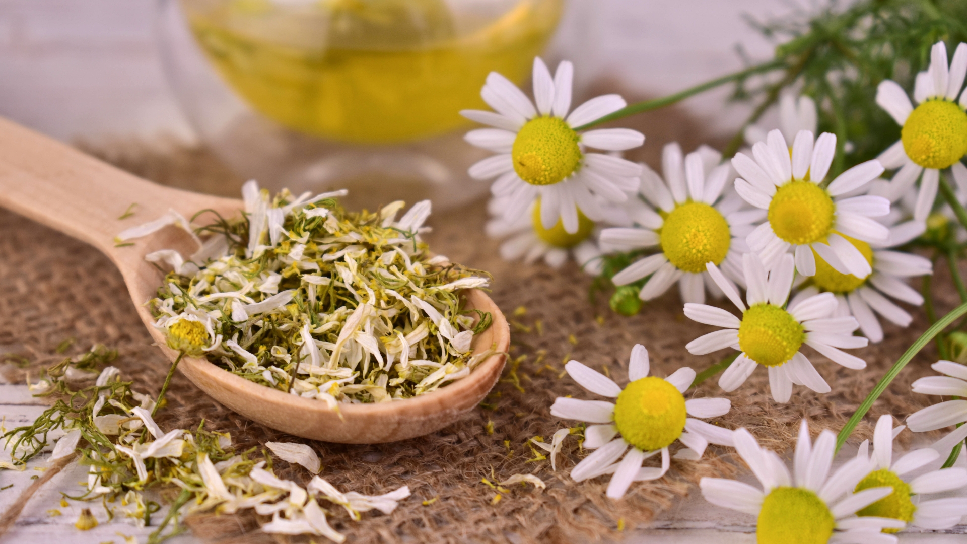 chamomile flower in a wooden spoon